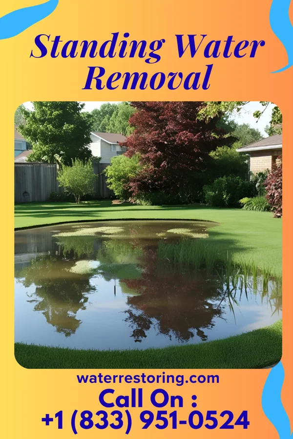 Standing Water Removal in Iona, MN